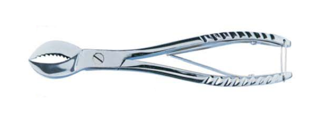 BDM-Nippers---Carbon-Steel-(Plaster)